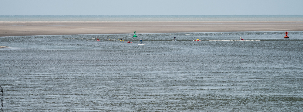 Baie de Somme 20190324-038
