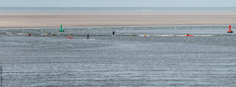 Baie de Somme 20190324-040