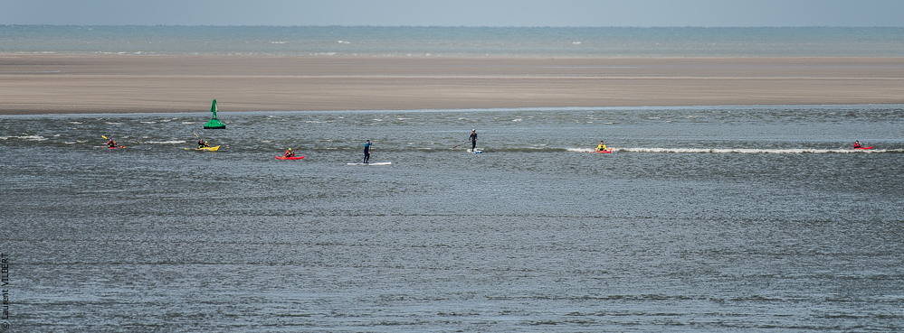 Baie de Somme 20190324-042