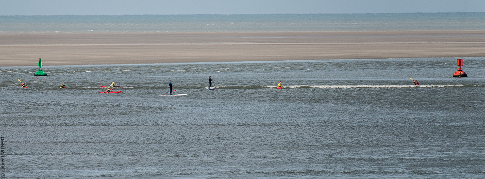 Baie de Somme 20190324-044