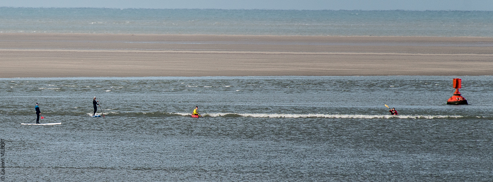 Baie de Somme 20190324-044