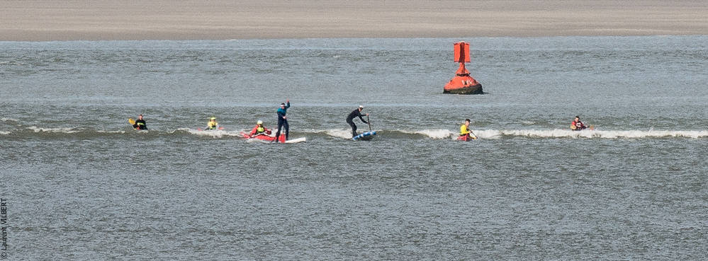 Baie de Somme 20190324-046
