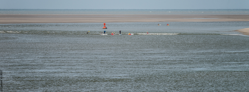 Baie de Somme 20190324-048