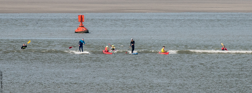 Baie de Somme 20190324-048