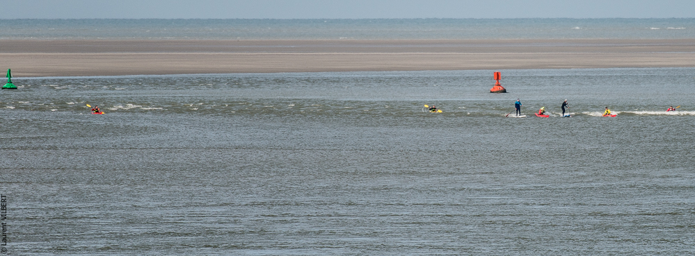 Baie de Somme 20190324-050