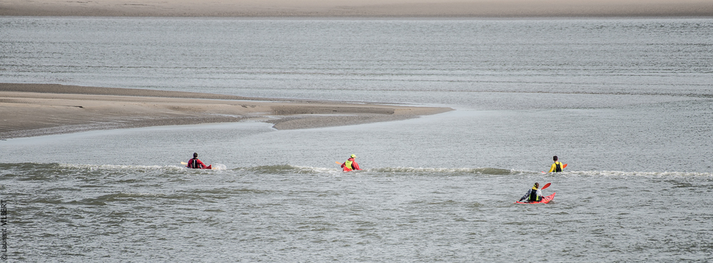 Baie de Somme 20190324-063