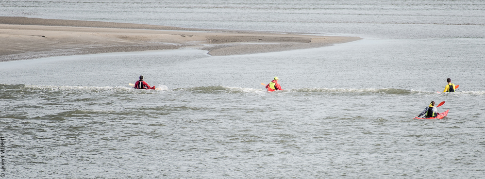 Baie de Somme 20190324-063