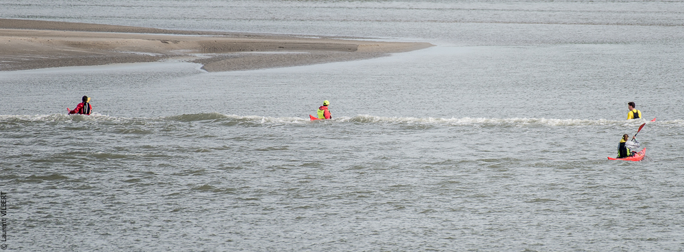 Baie de Somme 20190324-064