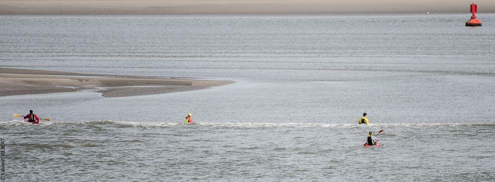 Baie de Somme 20190324-066