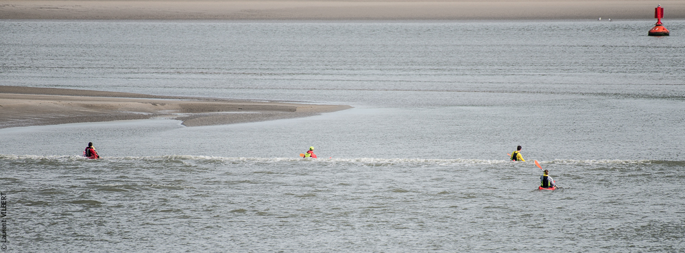 Baie de Somme 20190324-067