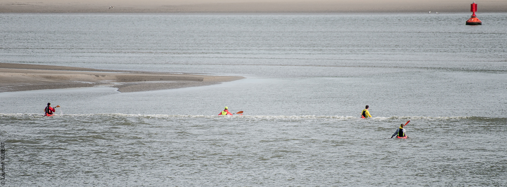 Baie de Somme 20190324-068