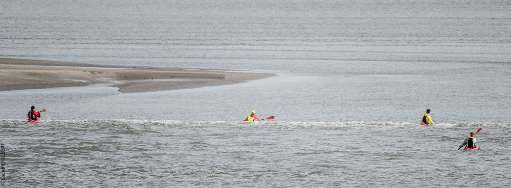 Baie de Somme 20190324-068