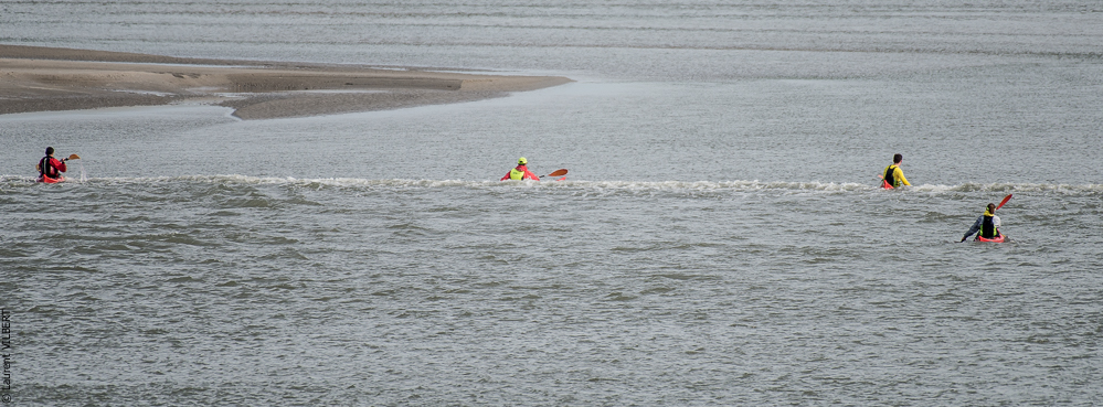 Baie de Somme 20190324-068