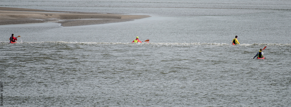 Baie de Somme 20190324-068