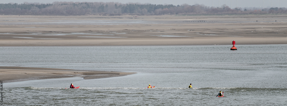 Baie de Somme 20190324-069