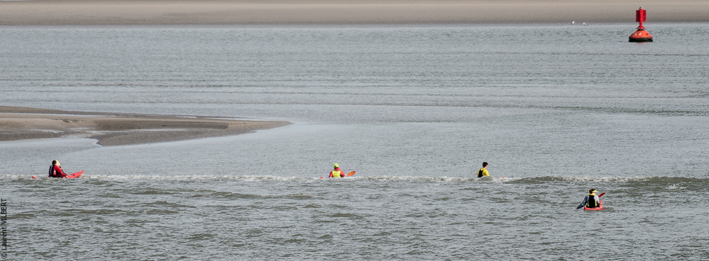 Baie de Somme 20190324-069