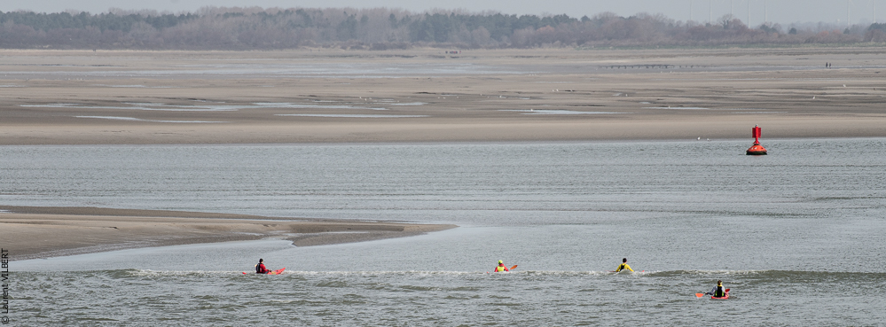 Baie de Somme 20190324-070