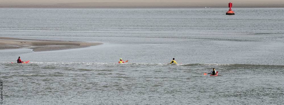 Baie de Somme 20190324-070