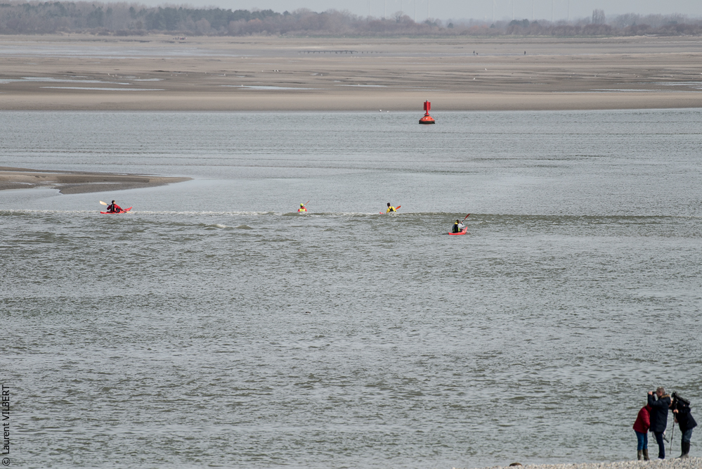 Baie de Somme 20190324-071