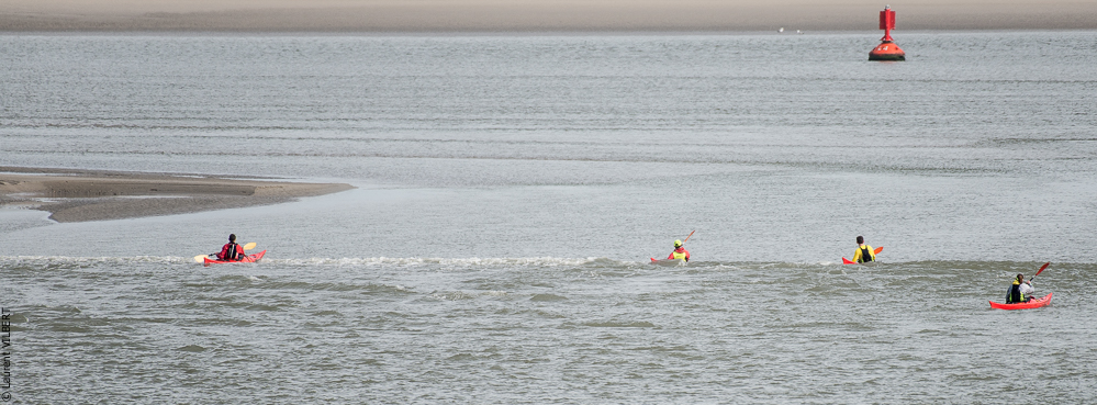 Baie de Somme 20190324-072
