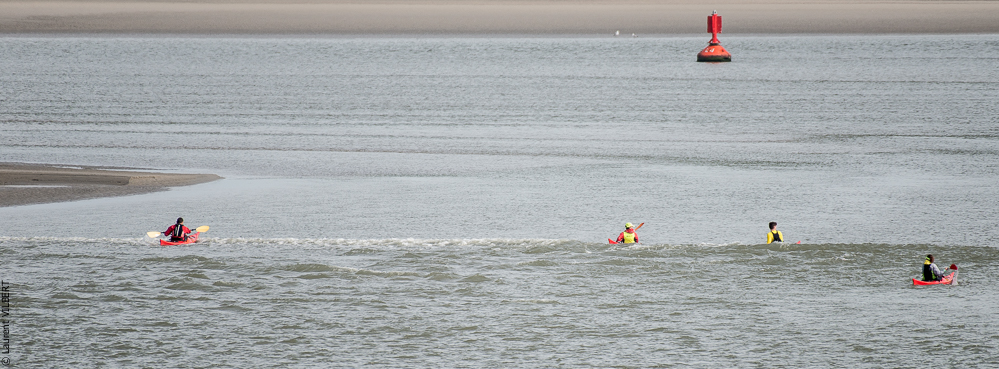Baie de Somme 20190324-073
