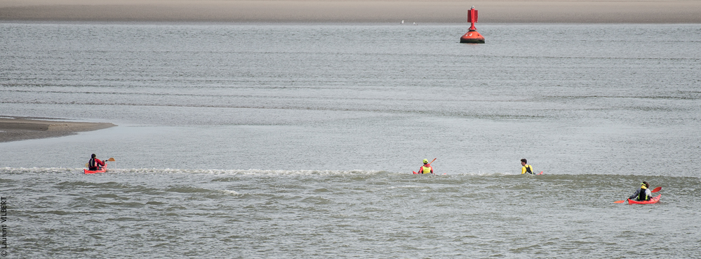 Baie de Somme 20190324-074