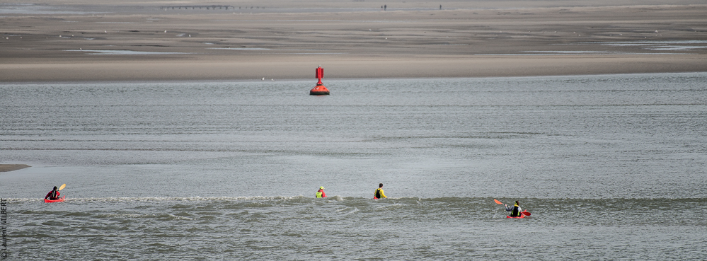 Baie de Somme 20190324-076