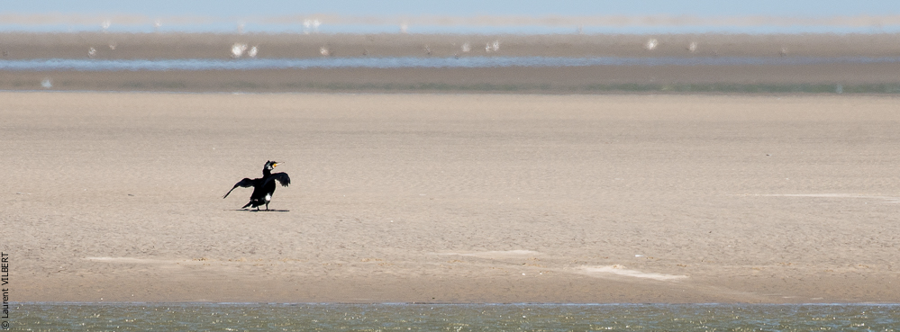 Baie de Somme 20190325-152
