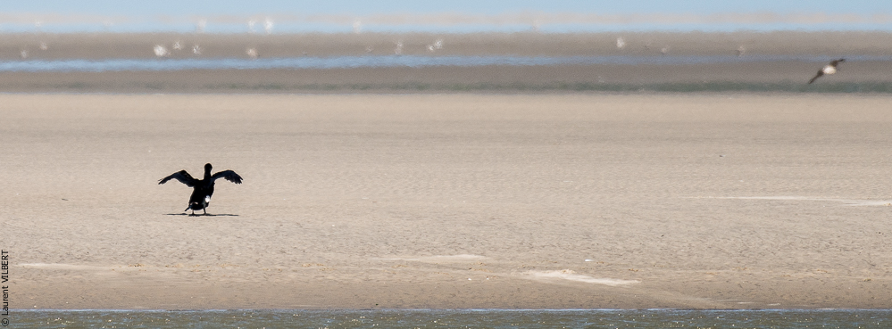 Baie de Somme 20190325-153