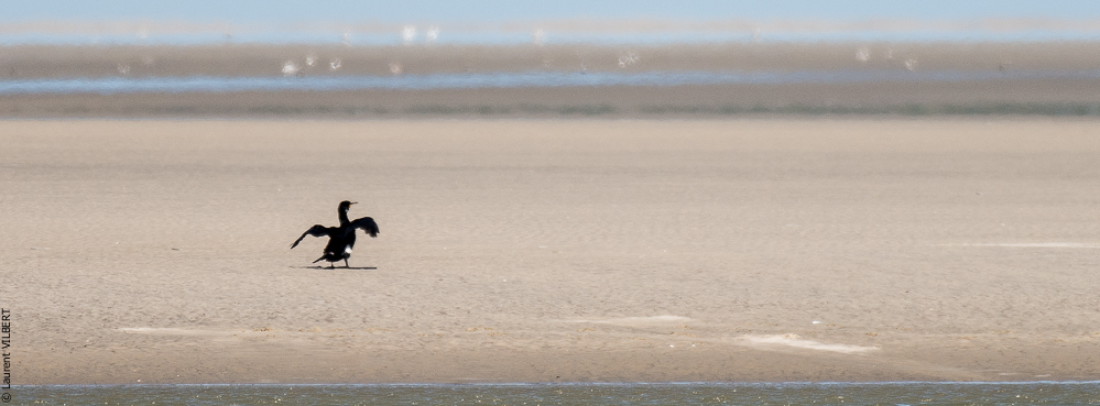 Baie de Somme 20190325-155