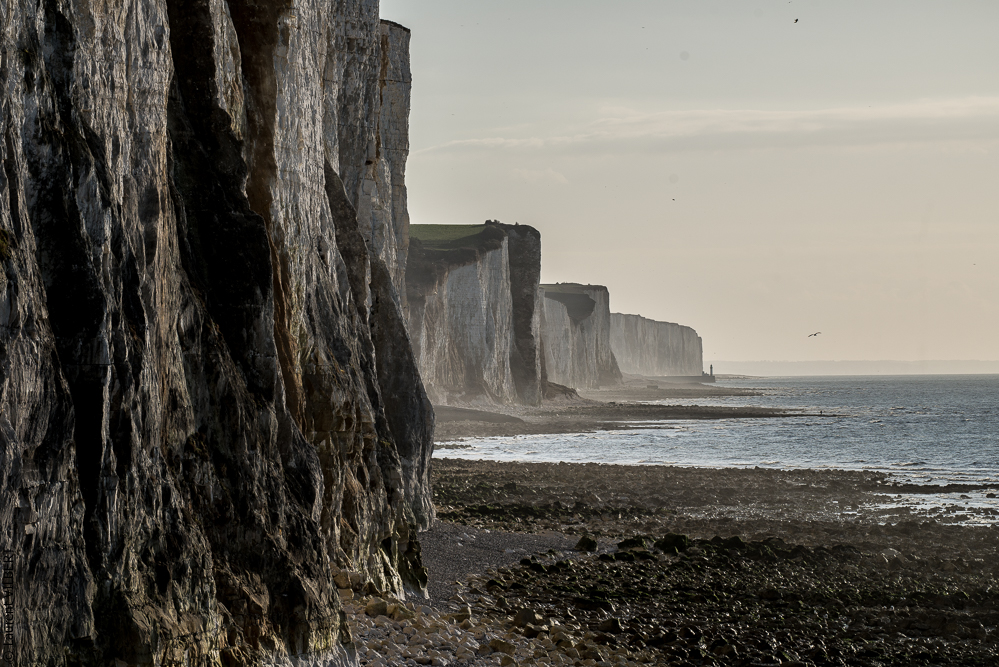 Baie de Somme 20190325-205