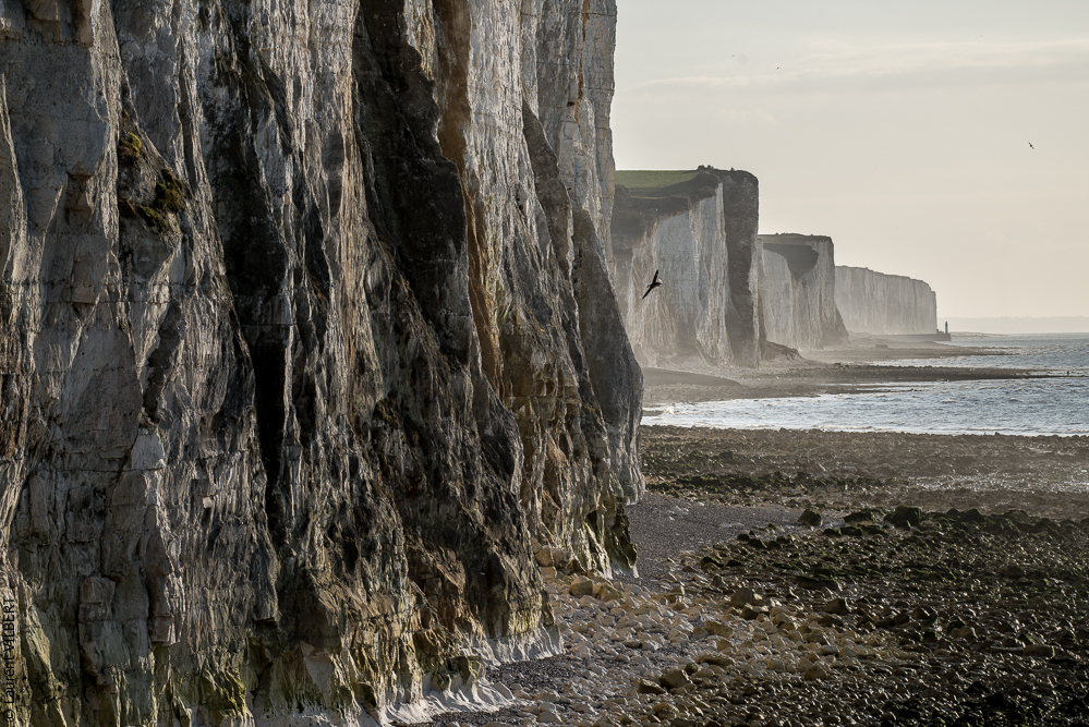Baie de Somme 20190325-207