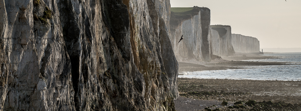 Baie de Somme 20190325-207