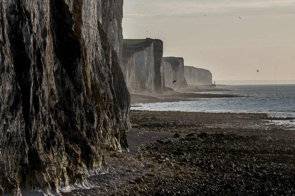 Baie de Somme 20190325-215
