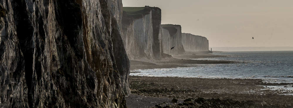 Baie de Somme 20190325-215