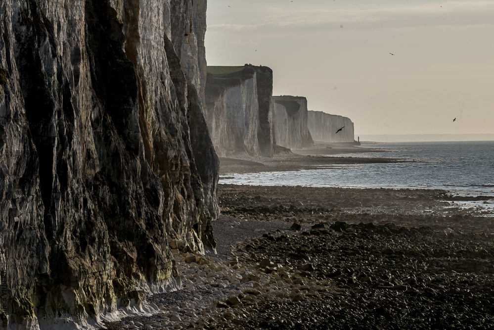 Baie de Somme 20190325-217