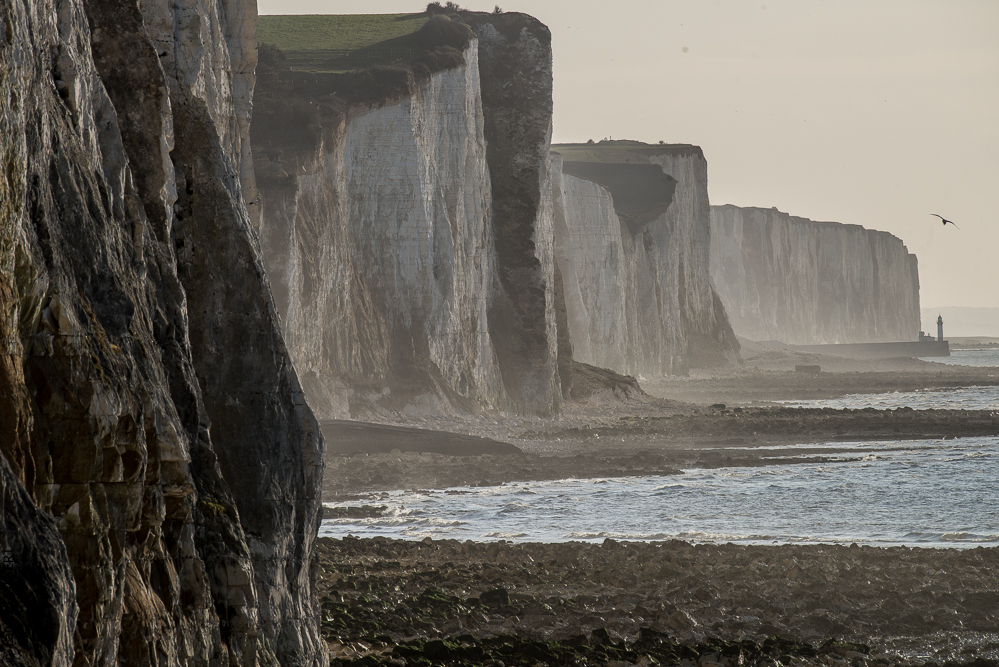 Baie de Somme 20190325-221