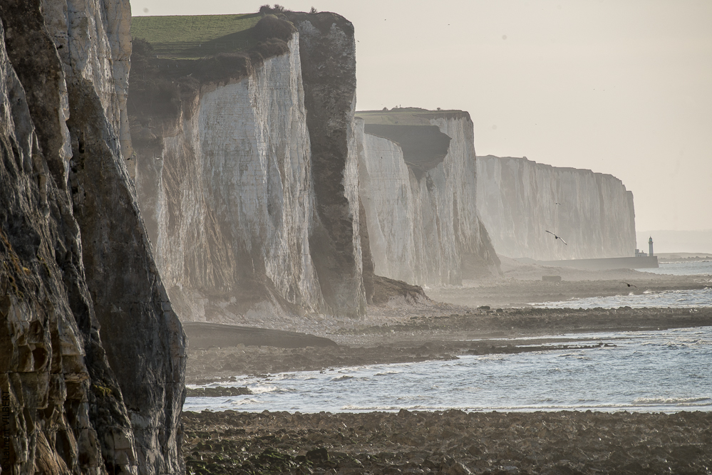 Baie de Somme 20190325-223