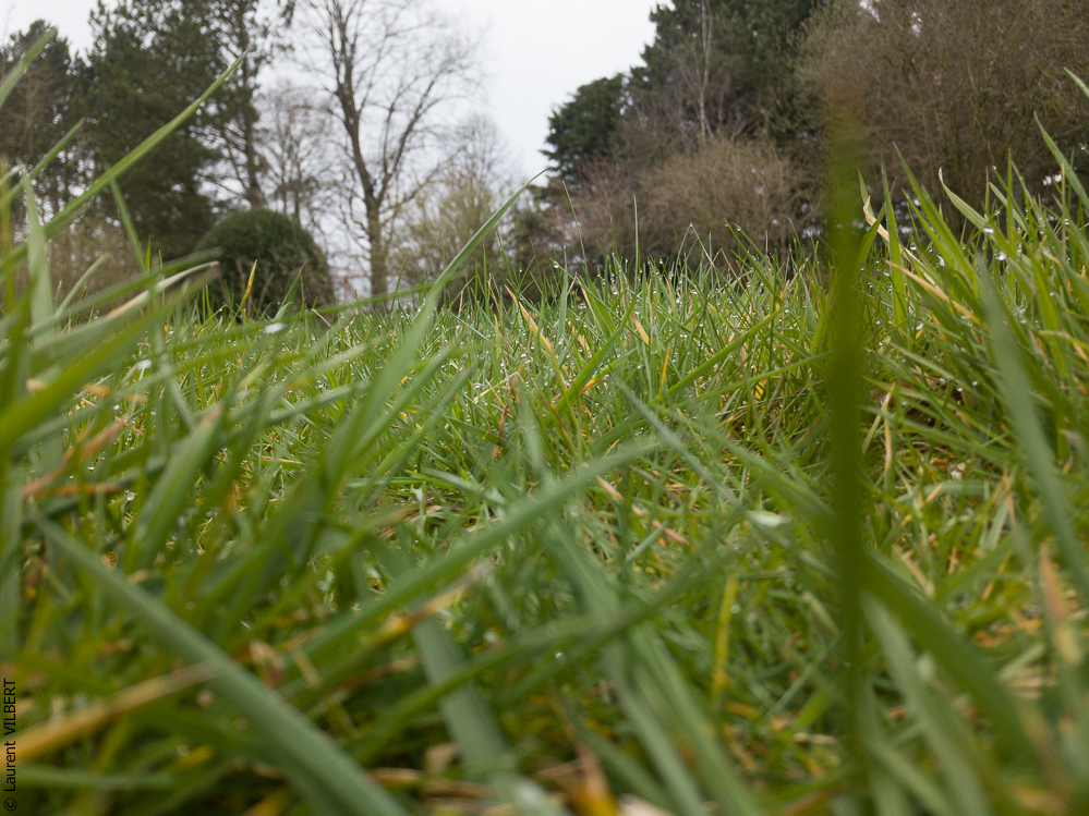 Clem & Alex 20190323-271