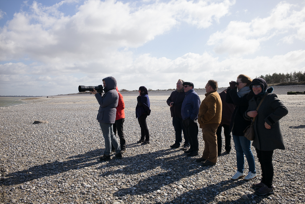 Clem & Alex 20190325-437