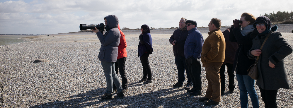 Clem & Alex 20190325-437