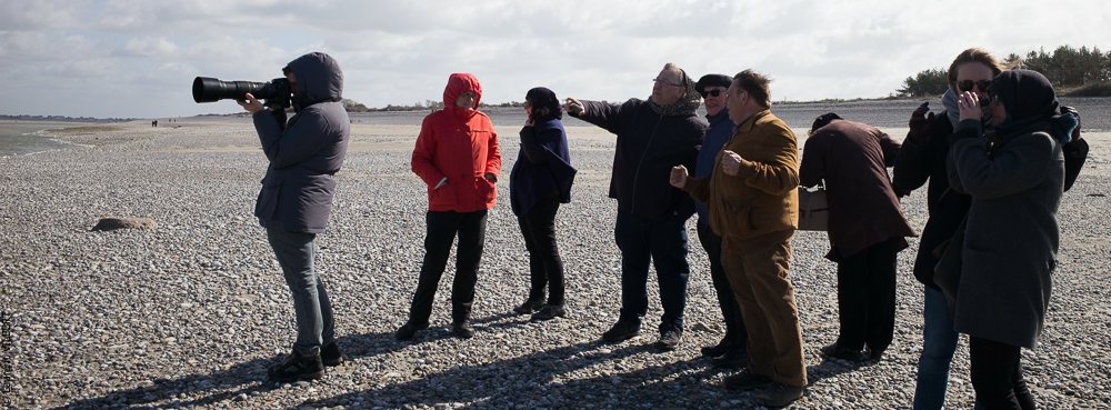 Clem & Alex 20190325-440