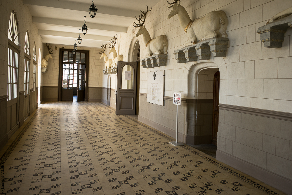 Clem & Alex 20190326-530