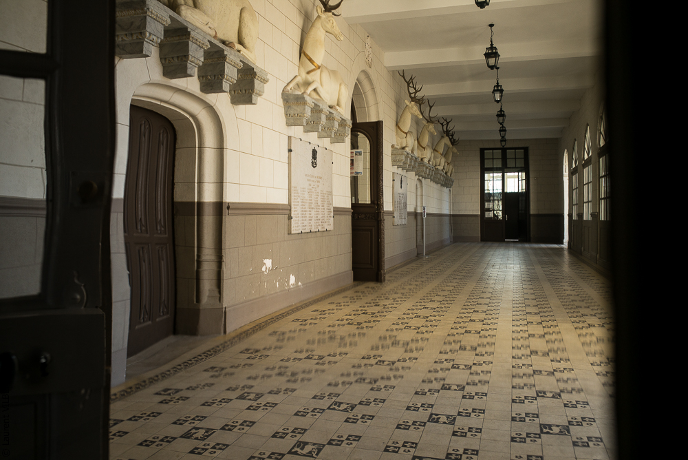 Clem & Alex 20190326-538