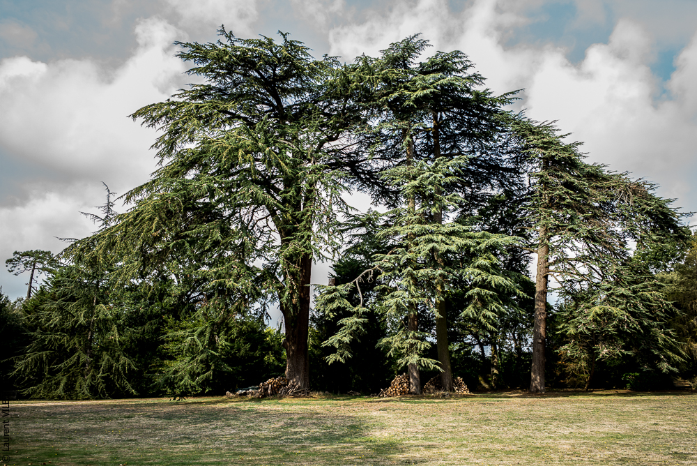 Alexandra 20180918-0239