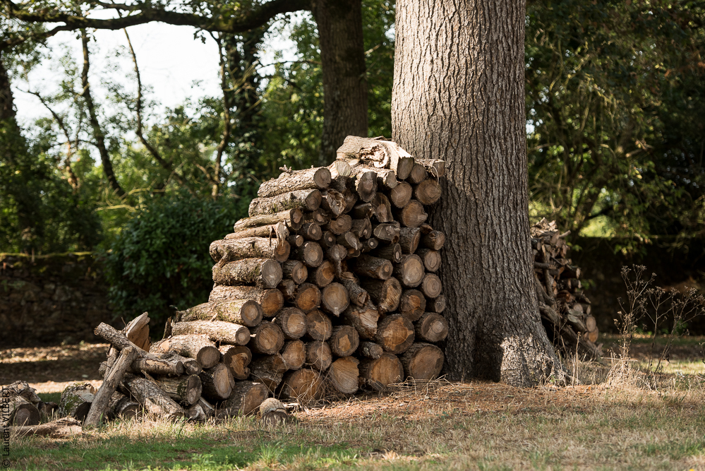 Alexandra 20180918-0673