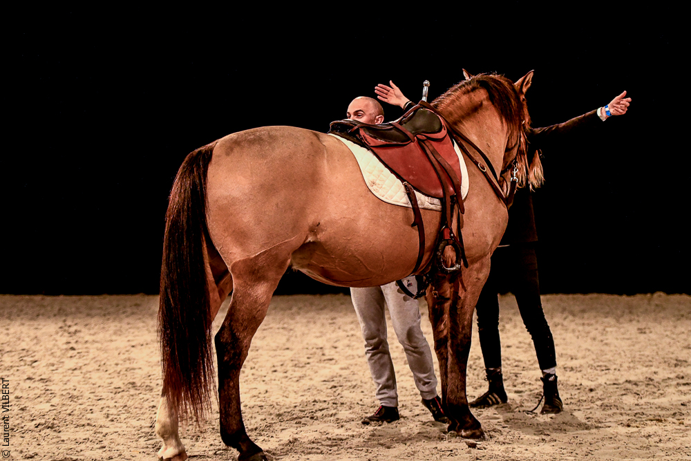 Angers 20221112-3529