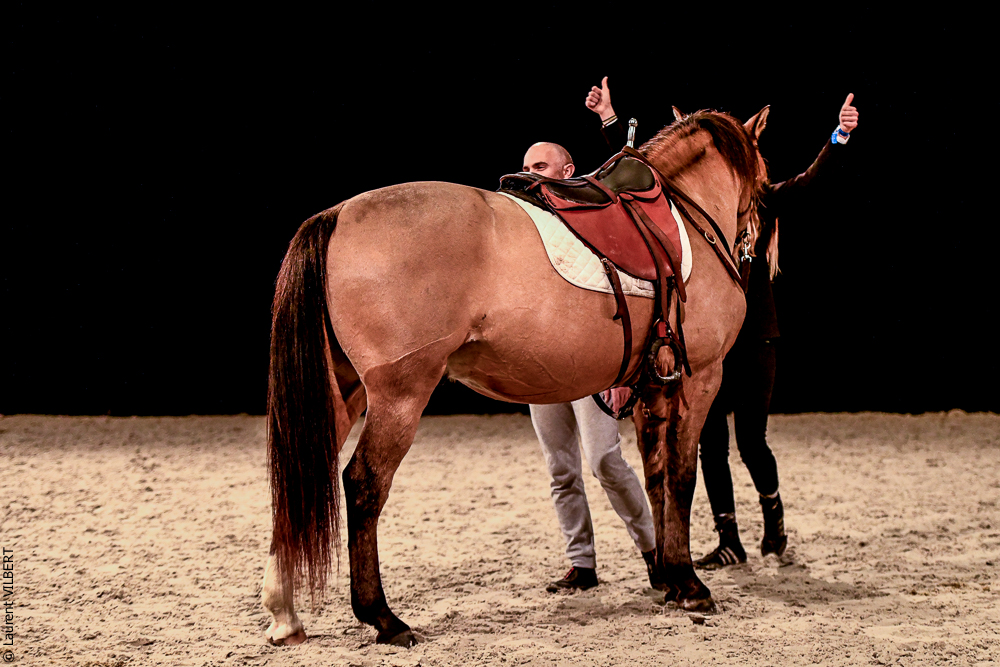 Angers 20221112-3533