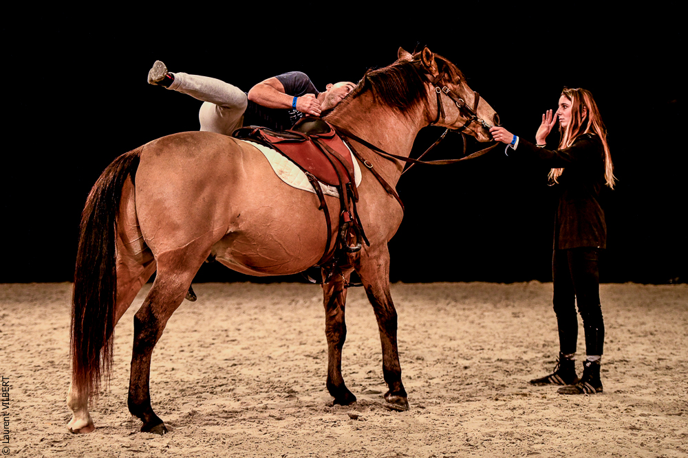 Angers 20221112-3538