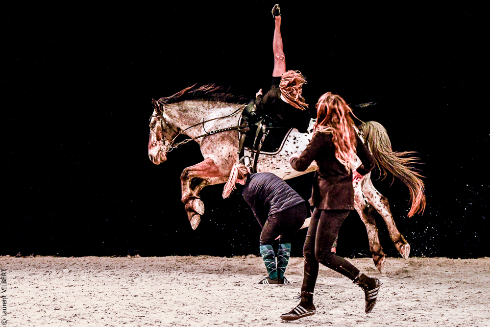 Angers 20221112-3551